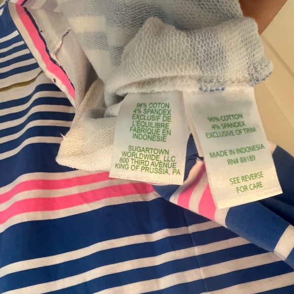 Lilly Pulitzer Lena Lapis Blue Tiki Stripe dress Sz Small - Picture 3 of 8